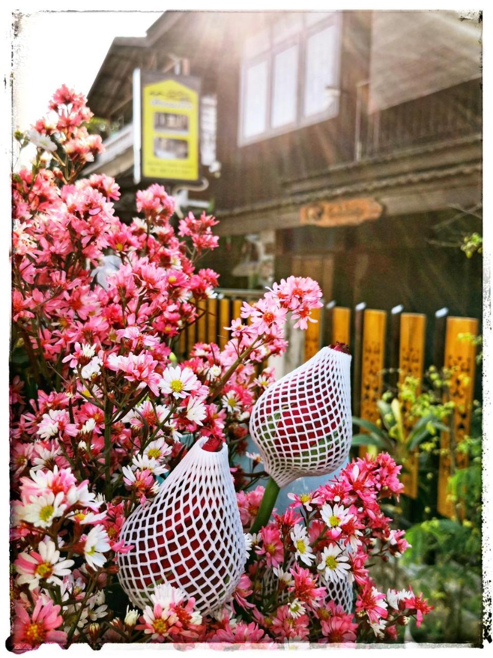 Mae Ping Home Chiang Mai Luaran gambar